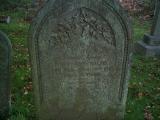 image of grave number 235404